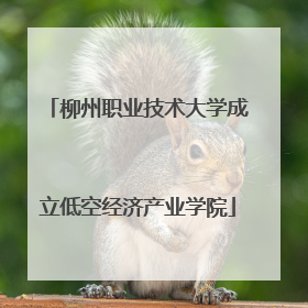 柳州职业技术大学成立低空经济产业学院